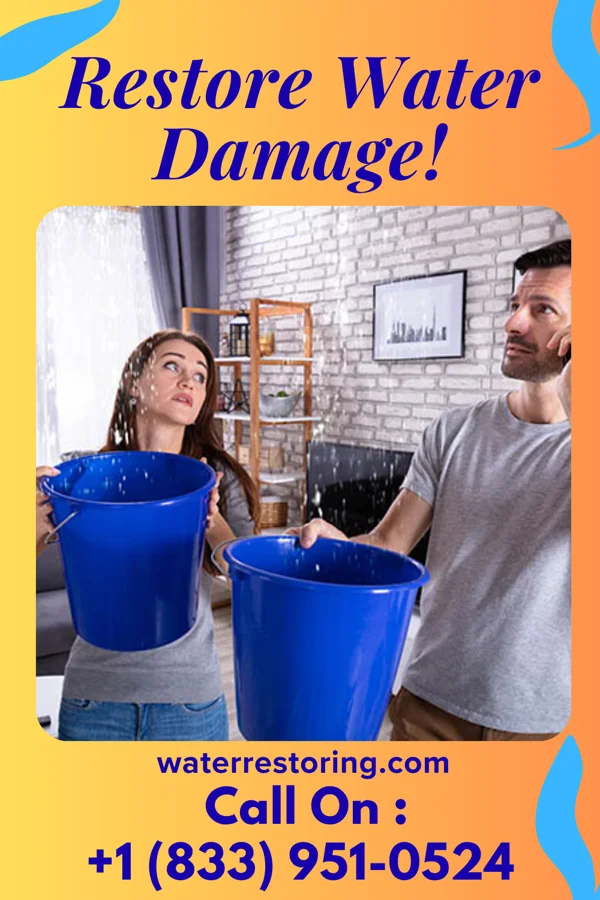 water restoration Ultimate Disaster Recovery Professionals Norwood
