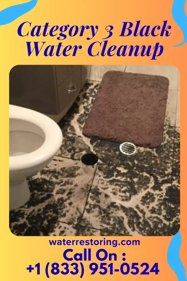 Category 3 Black Water Cleanup in Norwood, NY