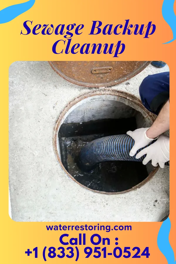Sewage Backup Cleanup in Norwood, NY