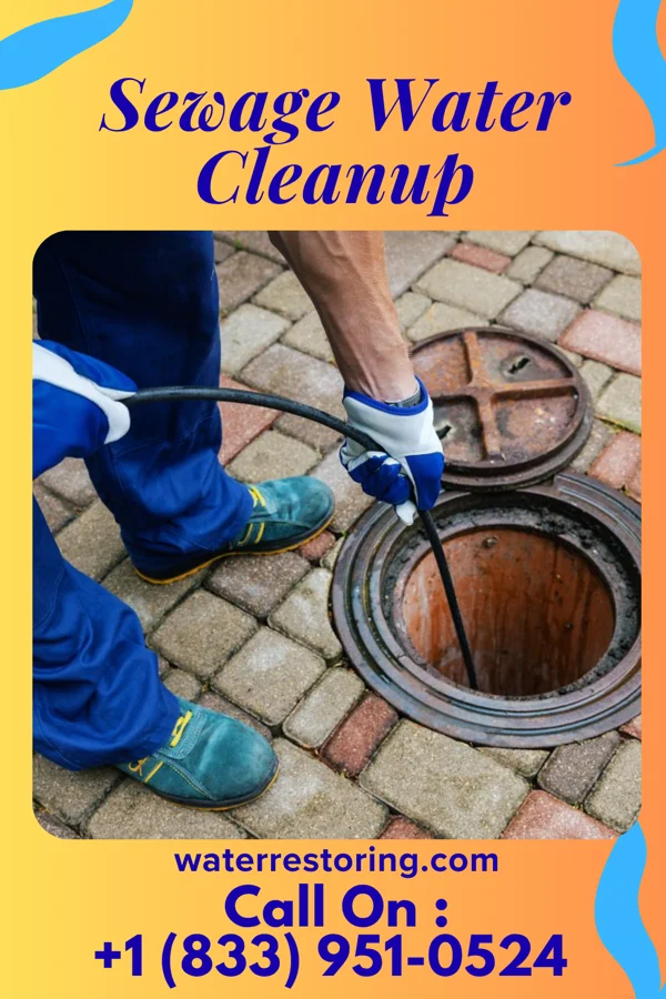 Sewage Water Cleanup in Norwood, NY
