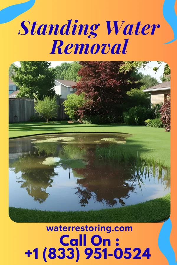 Standing Water Removal in Norwood, NY